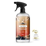 GrizzlyClean Premium Felgenreiniger Spray - Effektiver Felgen Reiniger für...