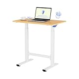 FLEXISPOT Gasfeder-Höhenverstellbarer Schreibtisch 80×50 cm – kompakt...