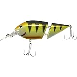 SEABUZZ Wobbler für Hecht & Wels und Zander 38g x 12cm Flachläufer 4,5-6m...