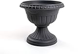 Formplastic Pflanzkübel Blumenspindel Amphore Pflanzschale Roma ∅25cm...