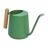fayarrd Gießkanne Für Zimmerpflanzen - 1L Gartenwerkzeug Mit Langer...