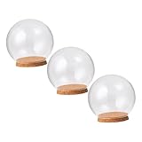 MOTHNUR 3 Stück Glasglocken Transparent mit Sockel Glaskuppeln für...