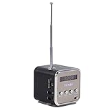 Diyeeni Lautsprecher, Tragbare Soundstation MP3 Player mit FM Radio, 3,5mm...