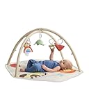 Skip Hop Geometrische Wunder Spielbogen, Baby-Spielcenter, Baby-Spielmatte,...