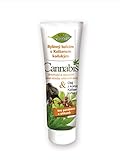 BIONE Beinwell und Kastanienpferd Kräuter Hanfbalsam 300 ml