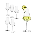 Rona Destillatglas 260 ml I 6er Set Whiskygläser I edles Kristallglas I...