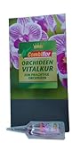 Combiflor Orchideen Vitalkur 30 x 30ml gebrauchsfertige Nährlösung,...