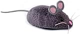 HEXBUG 503502 - Mouse Cat Toy grau, Elektronisches Spielzeug, 1 Stück (1er...