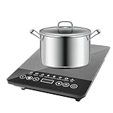 Induktionsplatte, tragbar, 110 V-220 V, Betrieb mit Doppelspannung,...