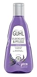 Guhl Silberglanz & Pflege Shampoo - Inhalt: 250 ml - Anti-Gelbstich und...