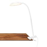 BRILONER - Schreibtischlampe mit Kabelschalter, warmweiße Lichtfarbe,...