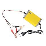 PRETYZOOM Batterieladegerät für Automobile und Motorräder Anzeige...