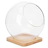 Generisch Glas Terrarium 13,5cm Mikro Landschaftsflasche mit Glatter...