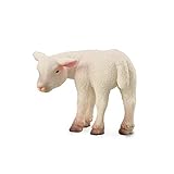 CollectA Lamm zurückblickend