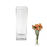 ASSRECT Blumenvase Glas 25cm Quadratische Glasvase für Tischdeko...