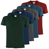 ALPIDEX Herren T-Shirts 5er Set mit V-Ausschnitt Shirts Basic Shirt...