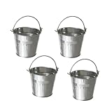 NUOBESTY 10 Stück Mini Zinkeimer aus Metall Kleine Dekorative Blech-Eimer...