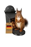 Schwarzes Eichhörnchen-Futterhaus aus Kunststoff– Witterungsbeständig...