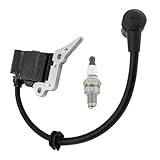 VDFNGFD 6995209 Zündspule mit CMR6H Zündkerze for Castor CJ300 CP40 CP300...