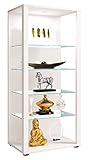 VCM Glasvitrine stehend | Vitrine Glas mit ESG-Sicherheitsglas | Maße ca....