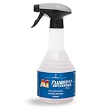 DR. WACK A1 Flugrost-Entferner Gel Auto 500 ml - Rost-Entferner mit...