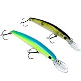 Zanderfang - Barsch Wobbler Zander – Barsch-Köder tieflaufend - 2 Stück...