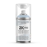 2K PRO 2K Spraydose 250ml - 2 Komponenten Sprühlack, Schnelltrocknender...