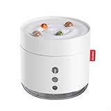 Zoegneer Tragbarer 800 ml USB-Luftbefeuchter mit Dual-Nebel-Modi und...