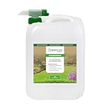 BodenLiebe RASENBLITZ Sommerdünger Nachfüllpack – 20 L für...