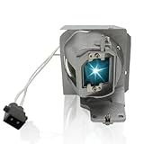 SORNEICDR Ersatz Projektorlampe kompatibel mit Optoma BL-FP240G HD143X...