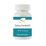 VED Coleus Forskohlii | Fördert gesunde Gefäßfunktion | 500 mg | 90...