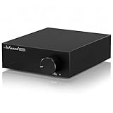 Nobsound Mini Mono Subwoofer Verstärker: 100W HiFi Verstärker mit TPA3116...