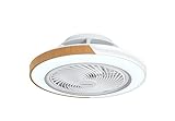 BESCOST Ventilator mit Licht, LED-Lampe