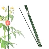 KARAT Rankhilfe Pflanzstab 150cm 10 Stück, für Kletterpflanzen, Tomaten,...