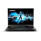 MEDION ERAZER Beast X40 43,2cm (17' Zoll 240Hz) QHD+ Gaming Notebook (Intel...