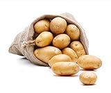 FRUCHTVERSAND24® Speisekartoffeln Alexandra, 5kg, festkochend, vielseitig...