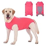 Axcimond Hundebody Nach Op Leckschutz Hund Op Body Hund Kastration Hündin...