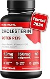 CHOLESTERIN - Nahrungsergänzungsmittel - Roter Reis, Caigua, γ-Oryzanol,...