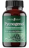 Pinienrindenextrakt hochdosiert - Original Pycnogenol - mit Vitamin C aus...