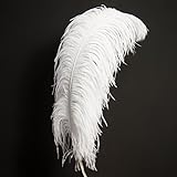 Eine Natur Straussenfeder Weiß ca. 60-70cm lang - Dekofeder, Karneval,...