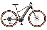 Prophete DICE 3.0 E-MTB 29' – AEG 36V Mittelmotor 250W, Shimano 10-Gang...