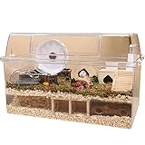 Käfig aus transparentem Acryl für kleine Tiere, atmungsaktiver Lebensraum...