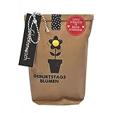 Wunderle WUN0212 Geburtstagsblumen-Handtasche, Braun, Unisex, Eimerförmig,...