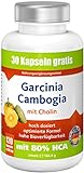 Garcinia Cambogia mit 80% HCA,1890mg Garcinia,120 vegane Kapseln: Premium...