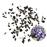 Worparsen 1000 Stcs lisianthus Samen zum Pflanzen mehrjähriger...