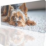 Gaming Mauspad Tier Hund Motiv, Mousepad XXL 39.4x19.7inch, Wetterfest...