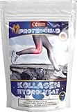 PROTEINHELD Kollagen-Hydrolysat - Collagen Pulver (Natural) 1000g...