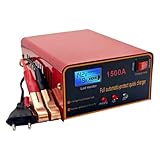 Batterieladegerät | Ladegerät für Motorrad und Fahrzeuge, tragbares...