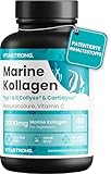 MARINE COLLAGEN 2000pcs PATENTIERTES - Typ 1&2 Collyss® & Cartidyss® -...