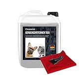 Tier-Geruchsentferner SET I Katzenurin & Hundeurin neutralisieren | Strenge...